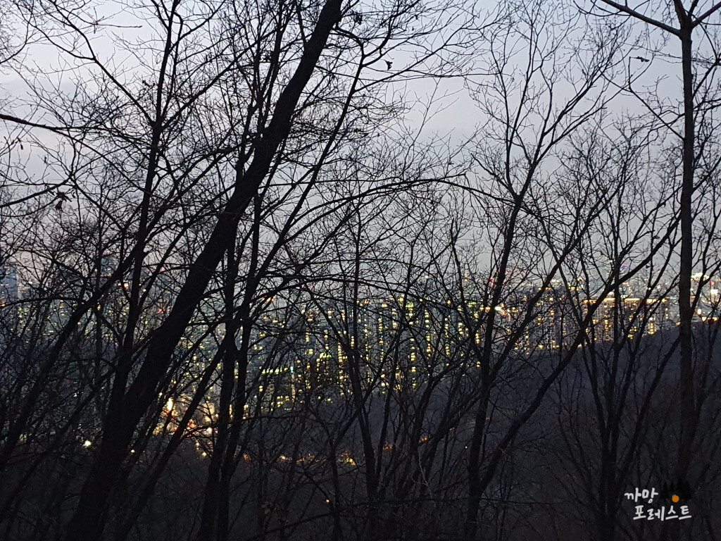 구룡산 도시 불빛