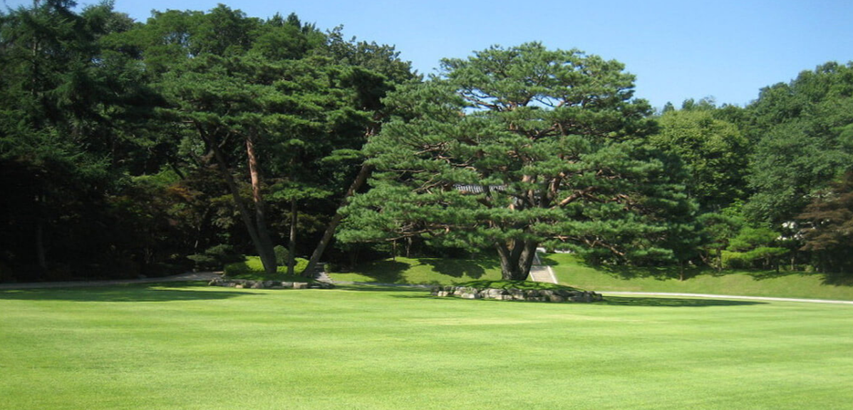 청와대 개방 예약 / 청와대 관람 예약 2024 / 청와대 관람 2주년 / 관람 취소 / 녹지원 이미지