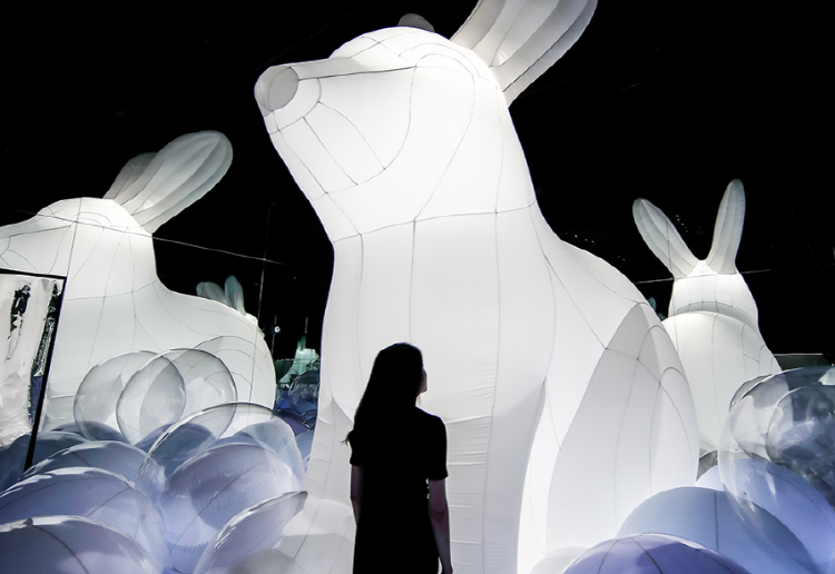 여수 아르떼뮤지엄