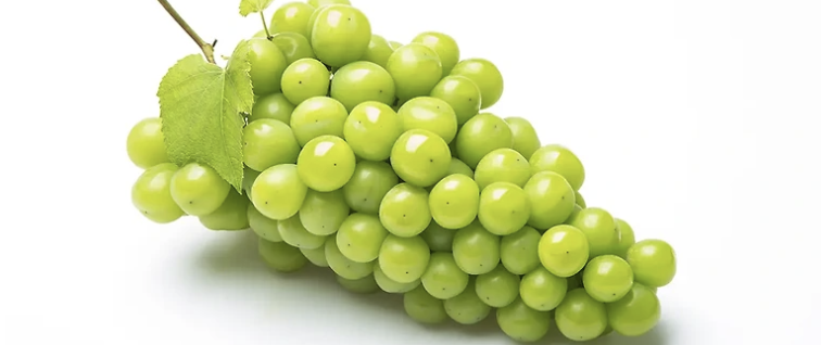 10월 제철 과일3