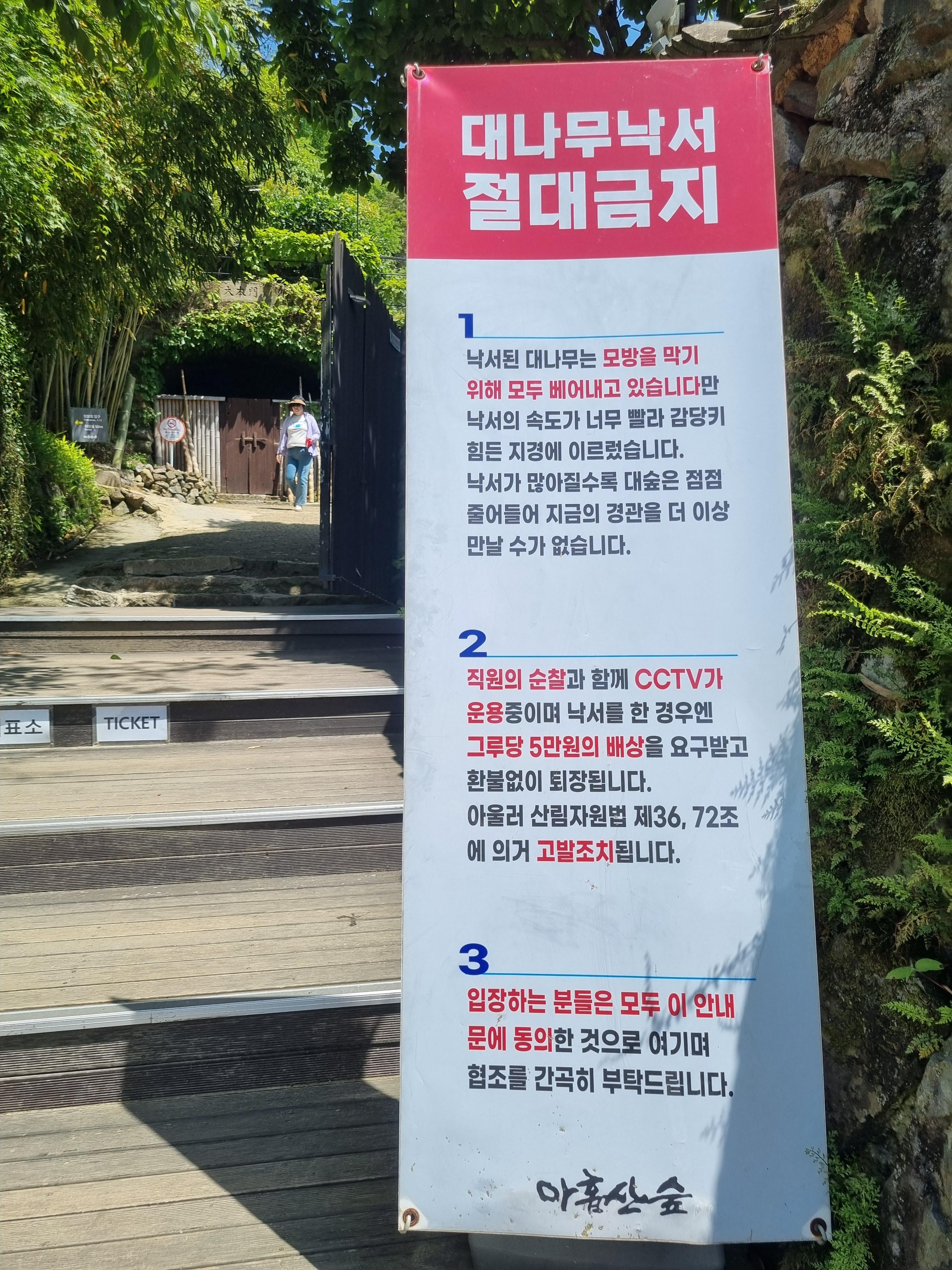 아홉산 숲