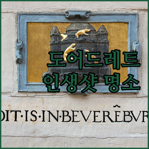 네덜란드 도어드레트 숙소 베스트 5 ..