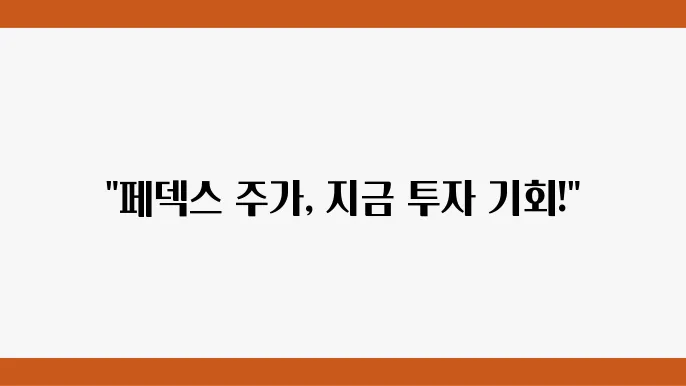페덱스의 기회와 도전