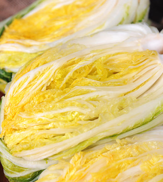 농부삼촌영농조합법인 해남배추