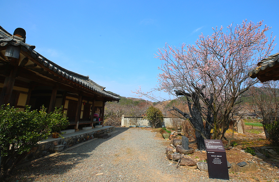 남사예담촌 원정매