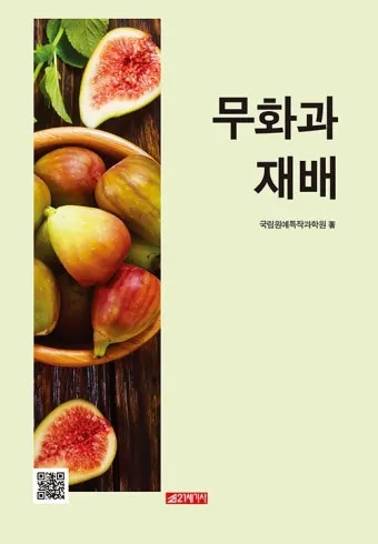 무화과 재배 가지 전정 하우스 보온 수확 연장_8