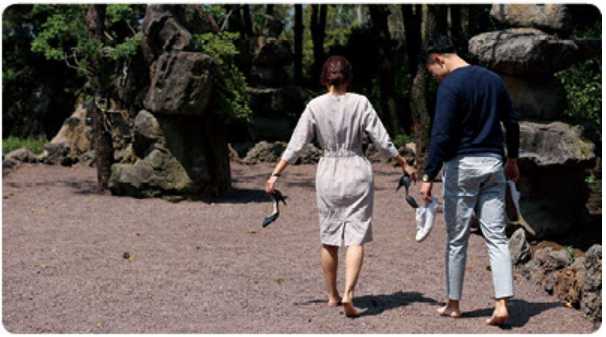 휴애리 수국축제