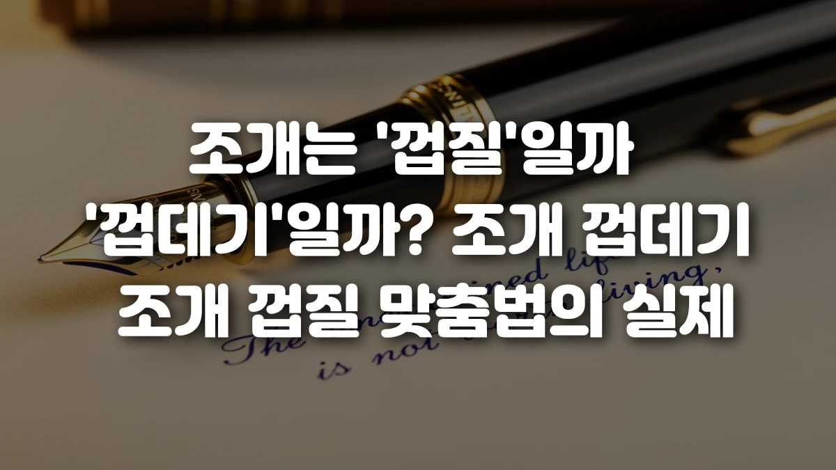 조개는 껍질 일까 껍데기 일까 조개 껍데기 조개 껍질 맞춤법의 실제
