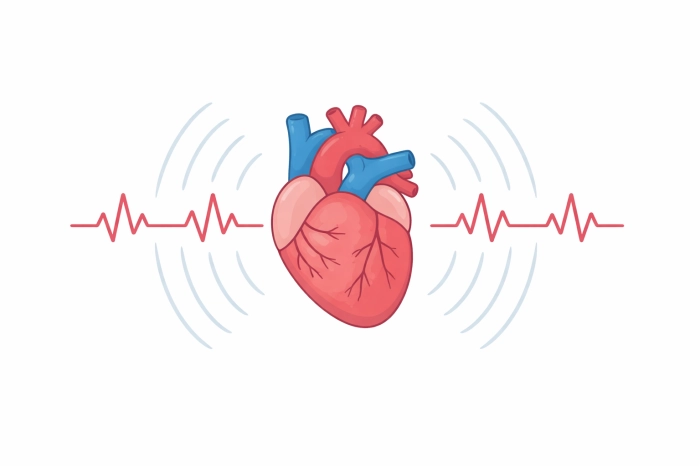 심장이 두근거리는 증상