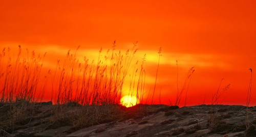 서울 해돋이 명소