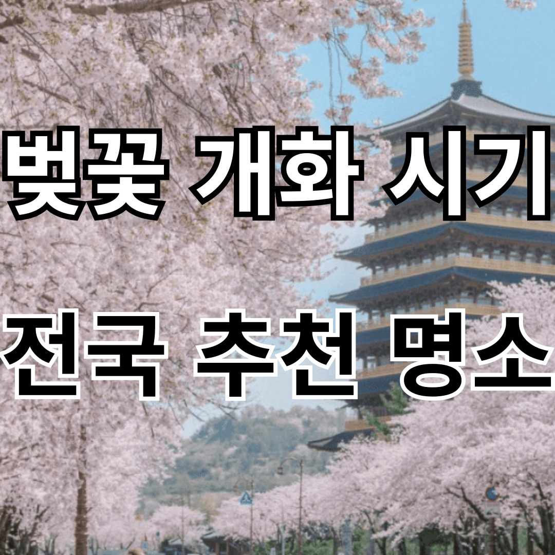 2025 벚꽃 개화 시기 전국 벚꽃 명소