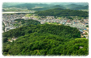 금성산