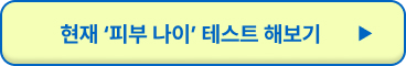 피부 노화 원인