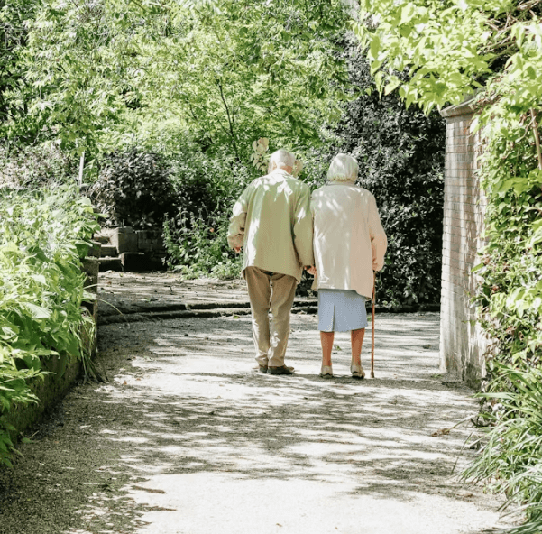 60대 이상 영양제 추천: 활기찬 노년 위한 맞춤 영양소!