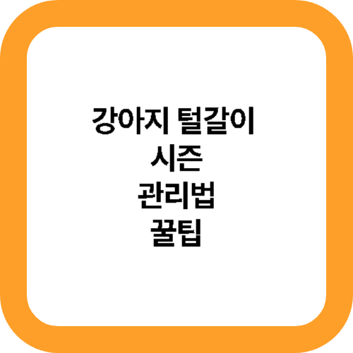 강아지 털갈이 메인사진