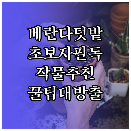 베란다 텃밭 시작: 초보자를 위한 작..