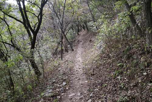 안양산11