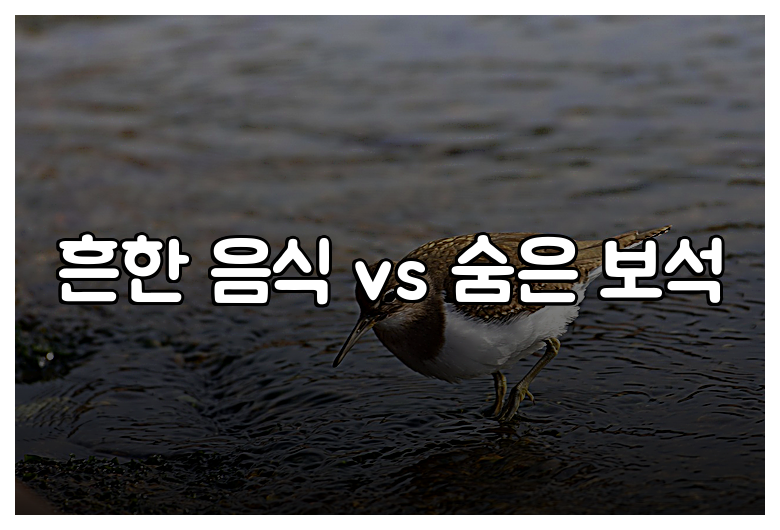 흔한 음식 vs 숨은 보석