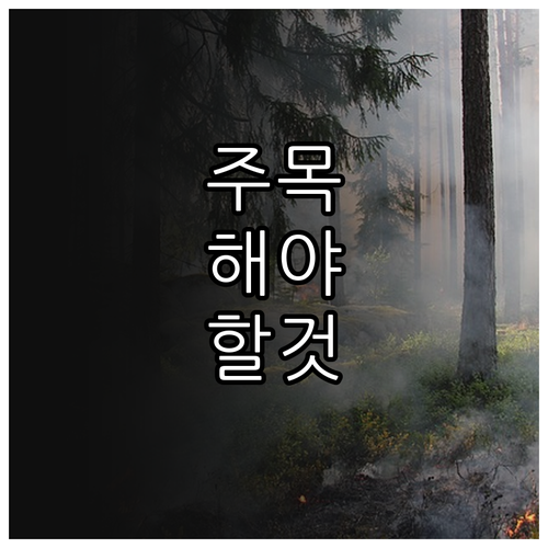 대구로페이 2025 7% 할인 소득공..