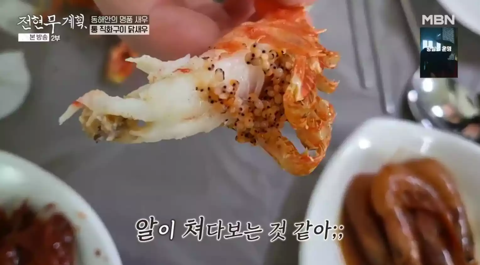 새우 알