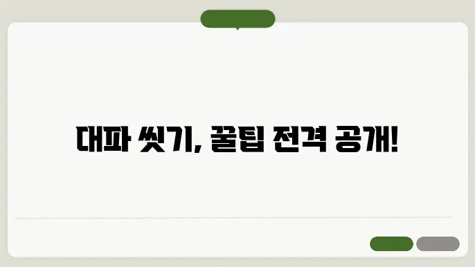 대파의 영양가