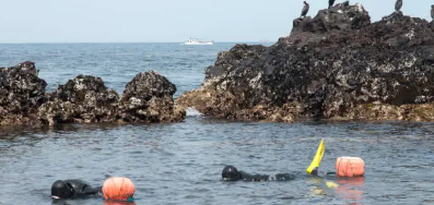 제주마을 산책기 : 관광지보다 좋았던 동네 이야기