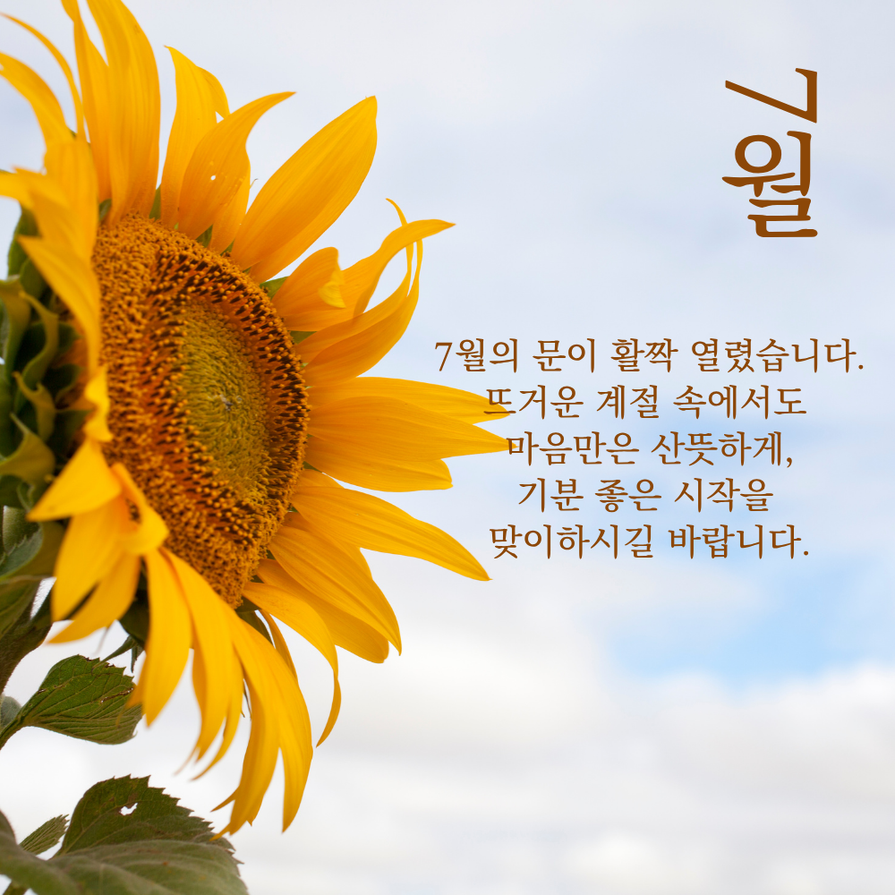 7월 인사말 문구 이미지 모음집 덕담 글귀