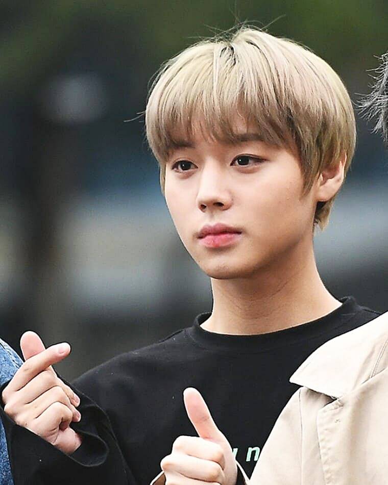 배우-박지훈