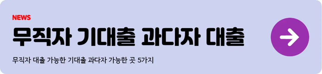 기대출 과다자 대출
