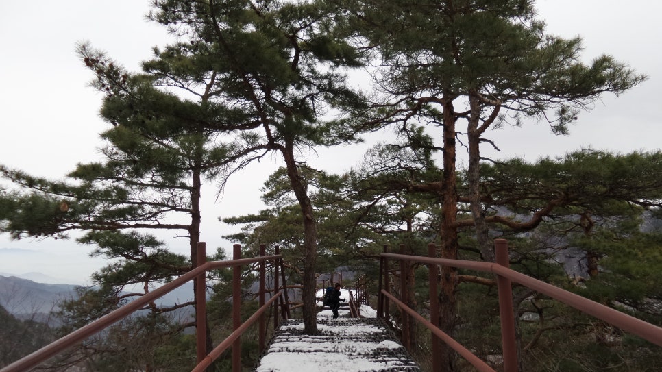100대 명산 등산하기 일곱번째 원주 치악산 등산코스 완벽정리 치악산은 자연과 역사가 공존하는 대한민국 대표 명산