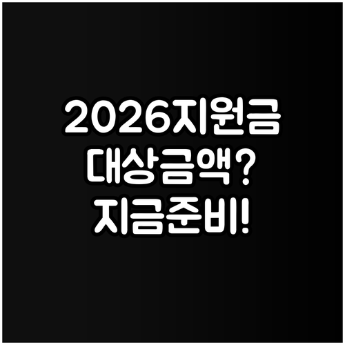 2026 민생회복지원금 지금 준비할 ..