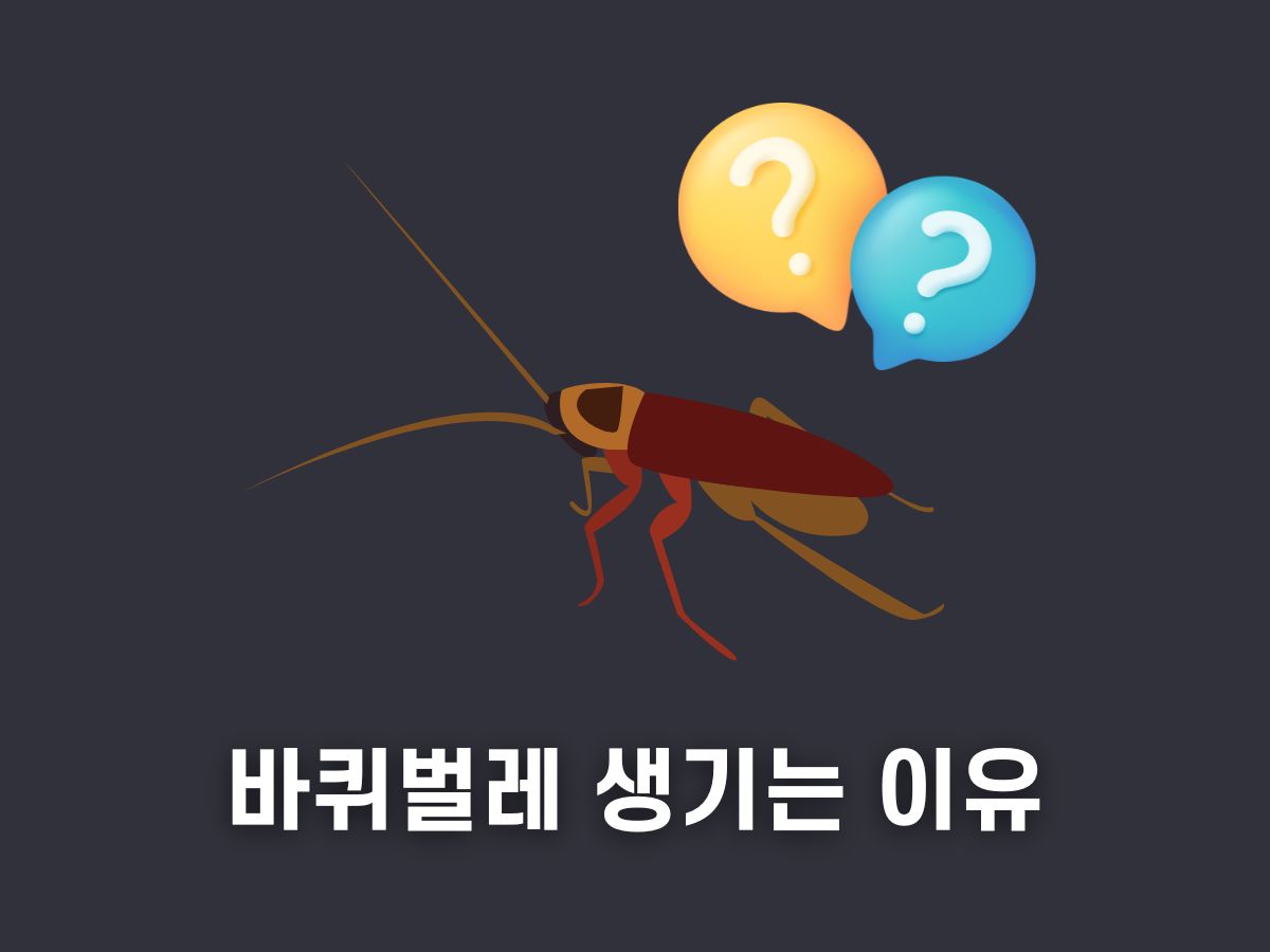 바퀴벌레 생기는 이유