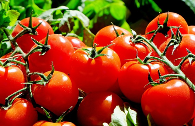 마녀스프 레시피, 마녀스프 다이어트