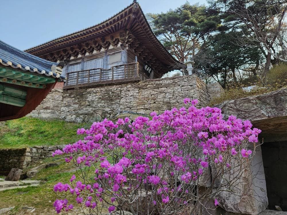 소원 성취 기도발 좋은 전라도 사찰 대흥사