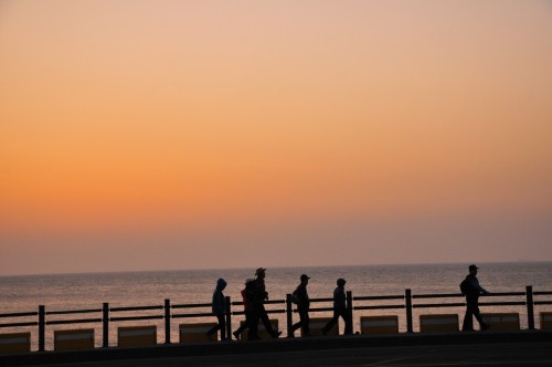 제주 앨리스 앤 트렁크 호텔 주변 제주공항 근처 가볼만한곳 BEST 10
