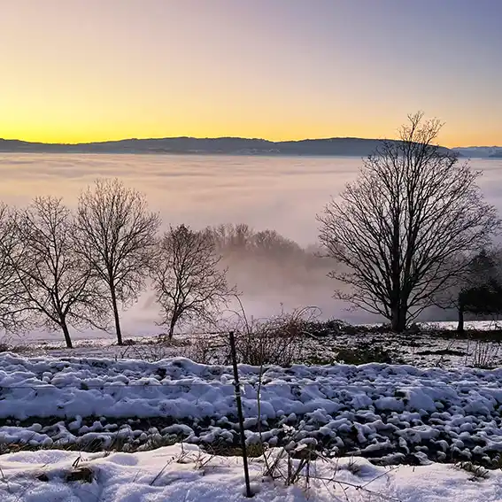 에너지바우처 신청 대상