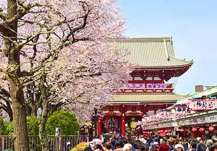 나카미세도리 거리 풍경