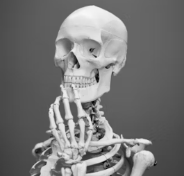 골다공증 초기증상 원인 치료방법