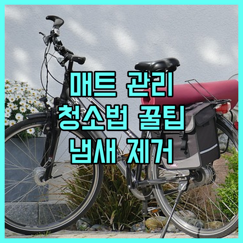 매트 관리의 모든 것: 소재별 청소법