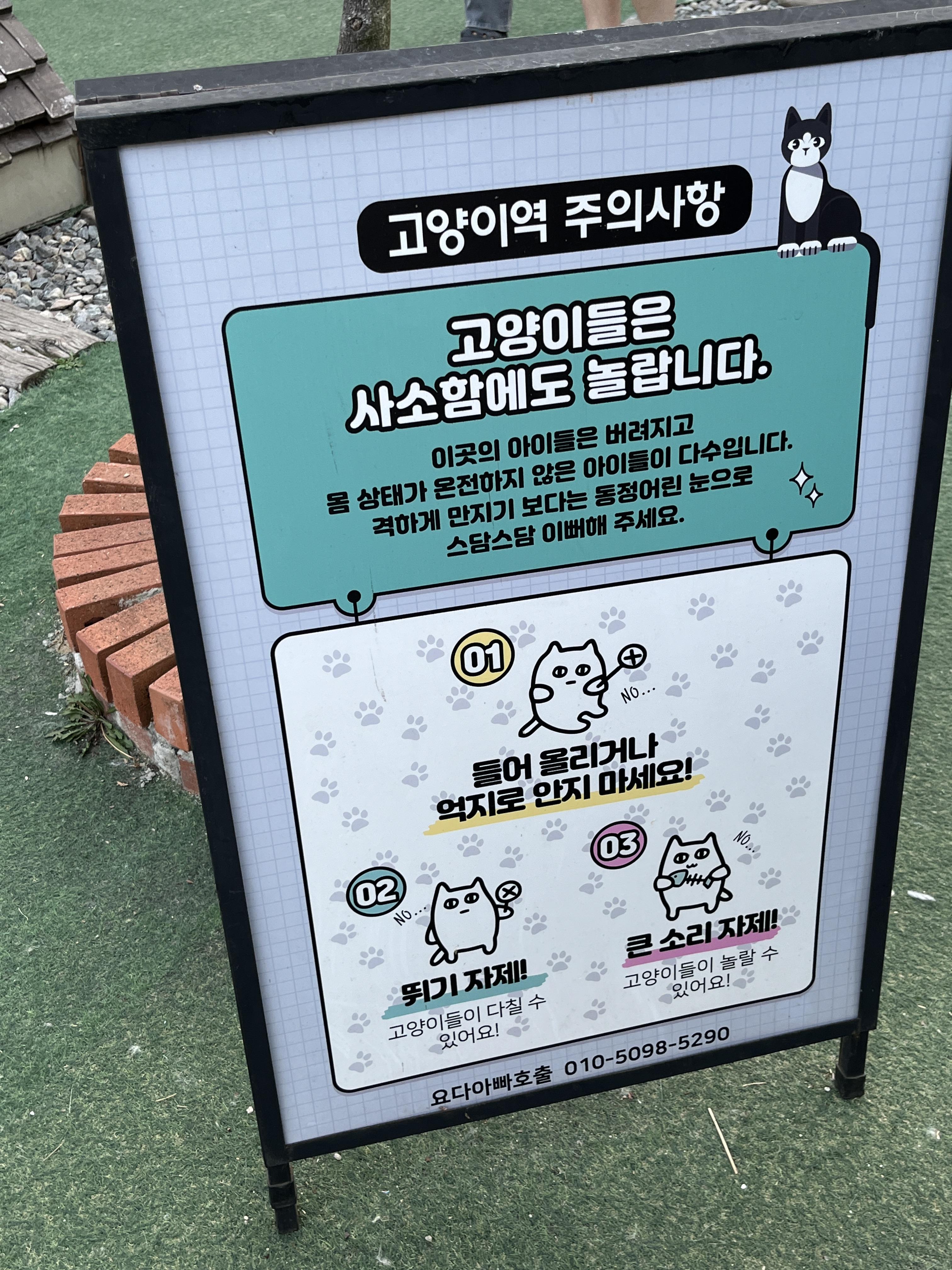 고양이역