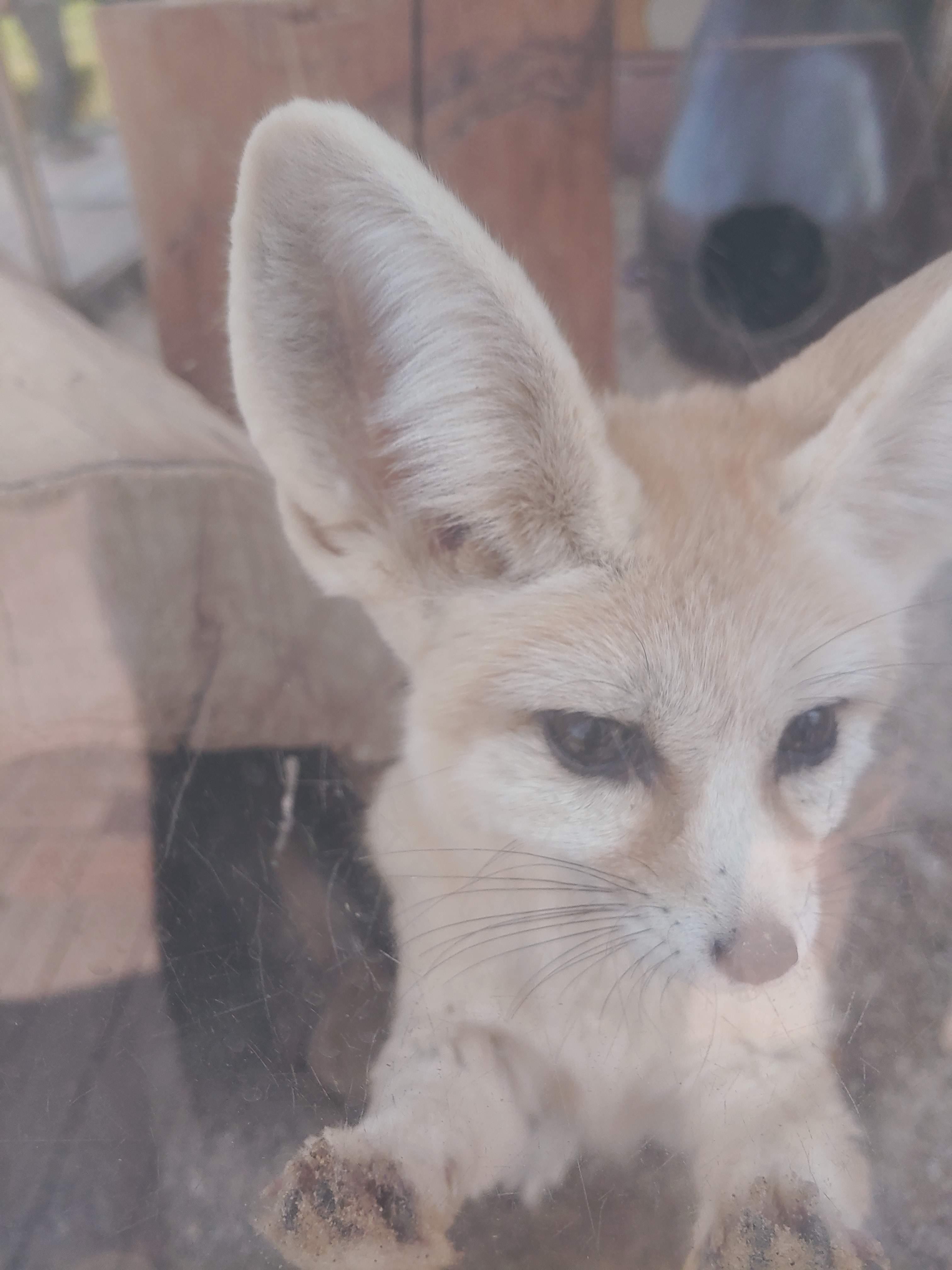 전주동물원 예약