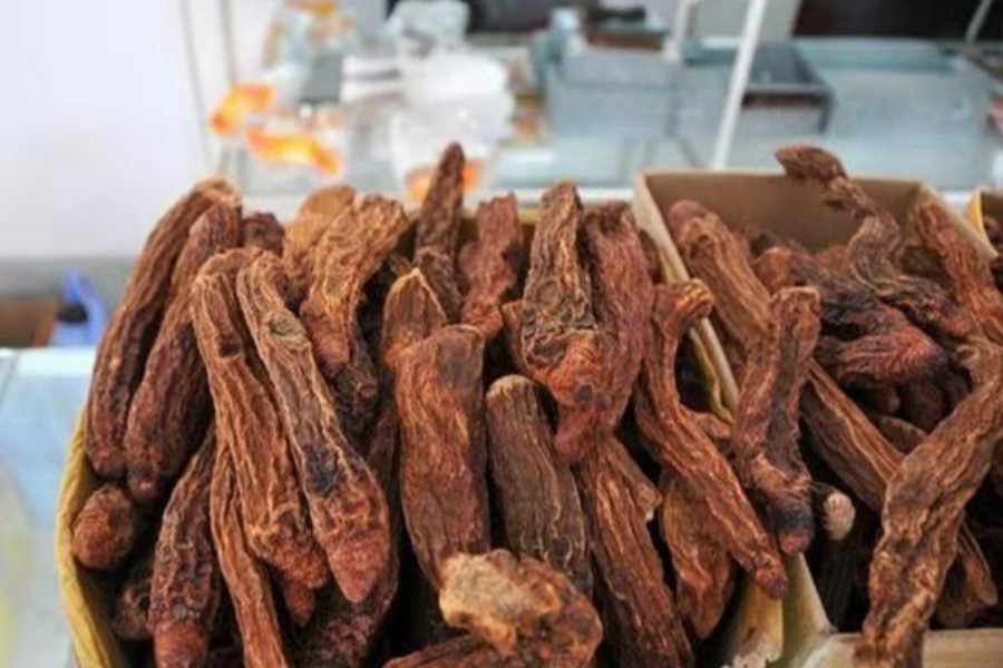 야생에서 채취를 한 쇄양을 깨끗하게 세척을 한 후에 건조시킨 것을 종이상자에 가득 담아둔 것을 확대를 하여 찍은 사진