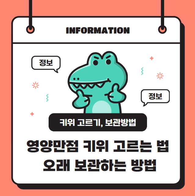 영양만점 키위 고르는 법과 오래 보관하는 방법