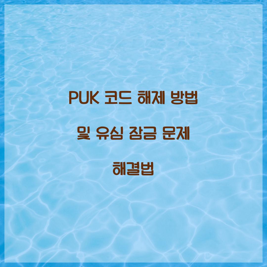 PUK 코드 해제 방법