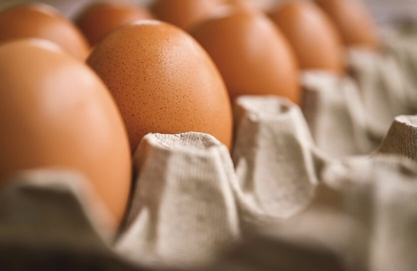 유정란 무정란 차이