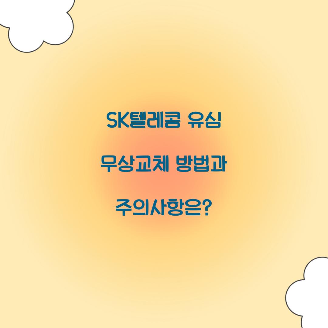 sk텔레콤 유심 무상교체