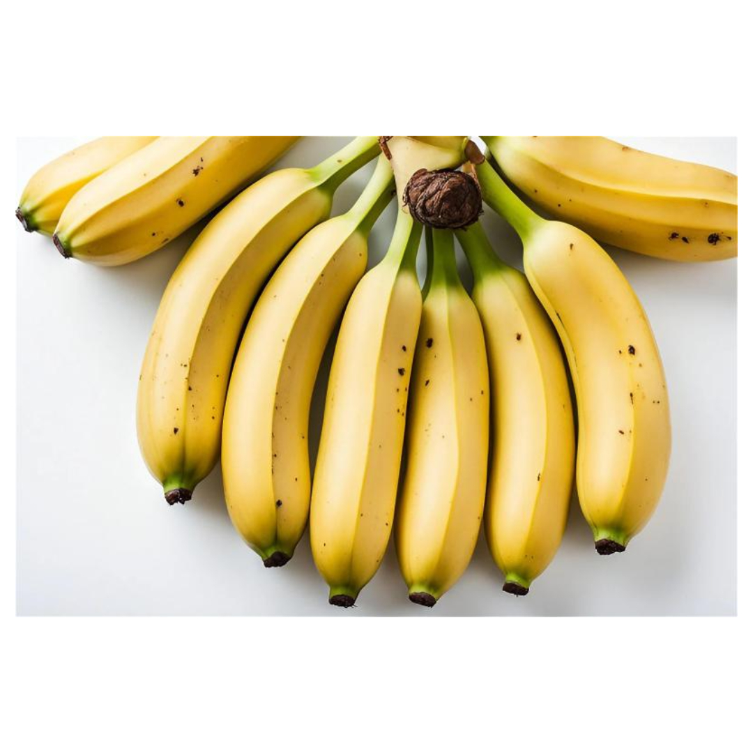 췌장과 관련된 사진입니다.