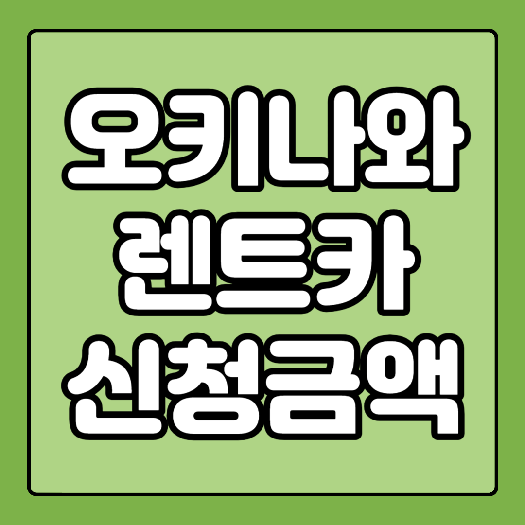 오키나와 렌트카 신청 금액