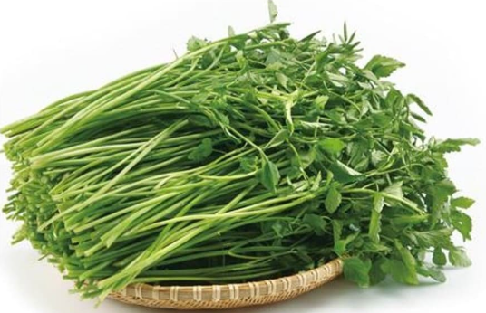 원동미나리축제