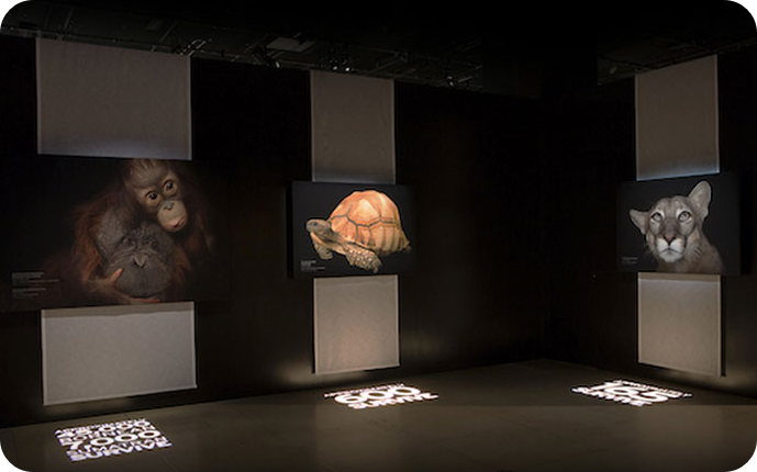 내셔널지오그래픽 사진전